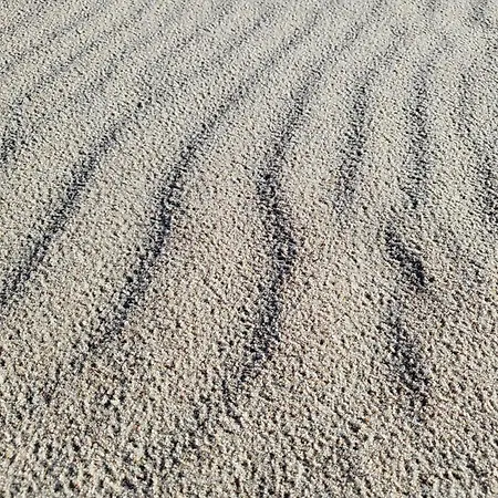 Blue Port Apartment Debina (Ustka)