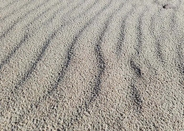 Blue Port شقة Debina (Ustka)